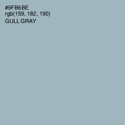 #9FB6BE - Gull Gray Color Image